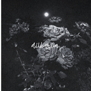 Dilberim (Slowed)