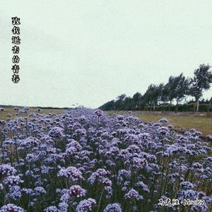 致我逝去的青春