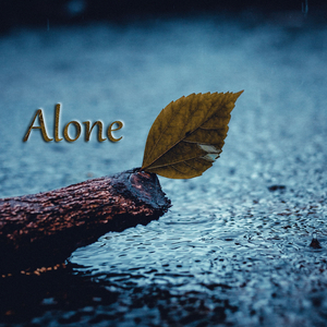 Alone In A Lonely Night