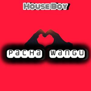 Pacha wangu