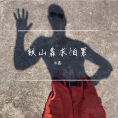 铁山靠求怕累 (Remix)
