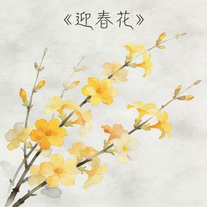 迎春花（伴奏）