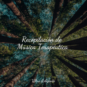 Dicha En La Orilla Del Lago