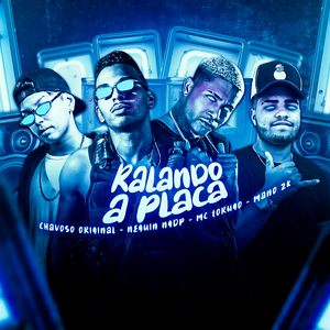 Ralando a Placa (feat. MC Torugo) (Brega Funk)
