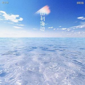 回到海边