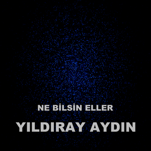 Ne Bilsin Eller