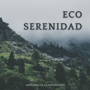 Debajo De Las Secuoyas