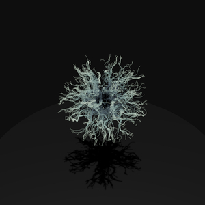 กลัวกลางคืน