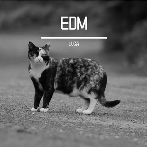 EDM电子音乐BGM背景音乐-平行车道