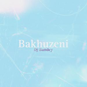 Bakhuzeni