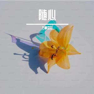 随心-1