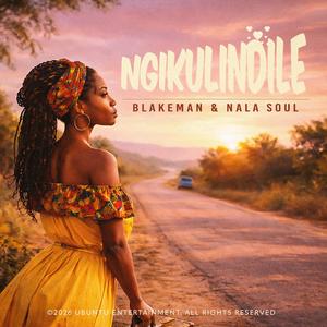 Ngikulindile (feat. Nala Soul)