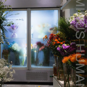 我在想念（器乐演奏版）