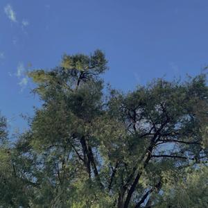 Hoy volví a pensarte