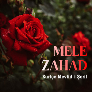 Mewlida Kurdi