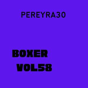 Boxer