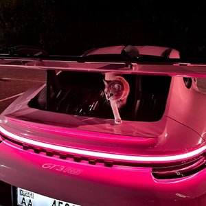 Miss (红人馆Phonk)