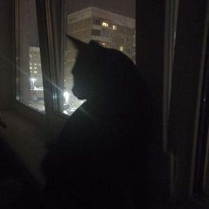 Nope you're too late I already died (Instrumental - Slowed)