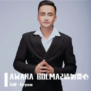 AWARA BULMA2请勿费心