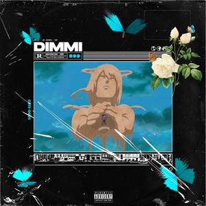 DIMMI