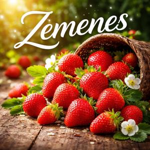 Zemenes