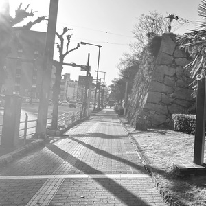 风のひとりごと