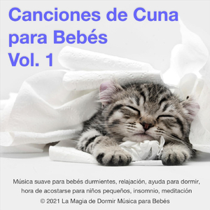 Escenas de la Niñez, Op. 15: I. de Tierras y Personas Extranjeras