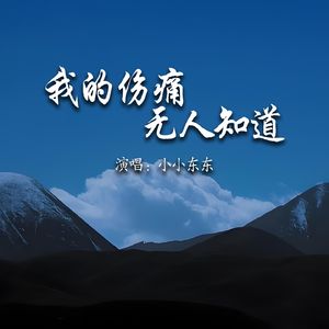 我的伤痛无人知道