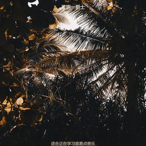 适合专注欢快的音乐