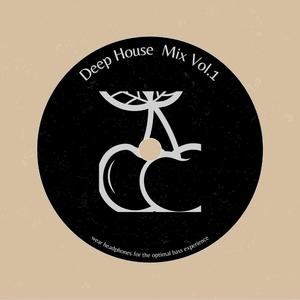 Deep House Mix, Vol. 1