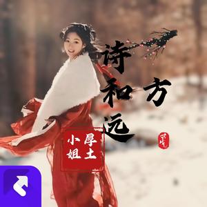 诗和远方（DJ热舞版）