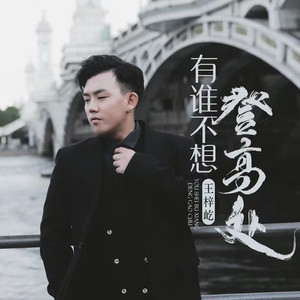 有谁不想登高处 (DJ默涵版伴奏)