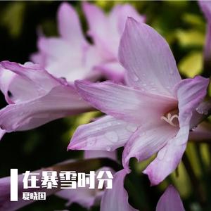 在暴雪时分 伴奏