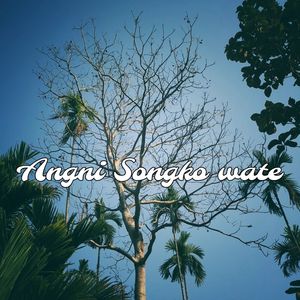 Angni songko wate (slowed & reverb)
