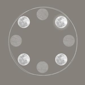 巅峰之战The Pinnacle Battle