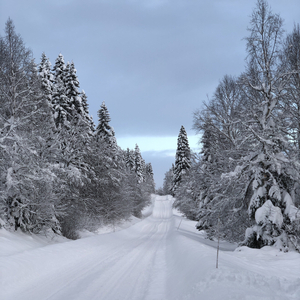 Kjære desember