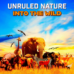 Into the Wild
