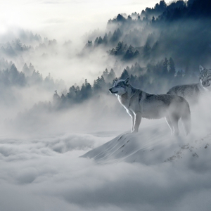 Caress of a Cloud