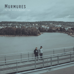 Tu ne reviendras pas