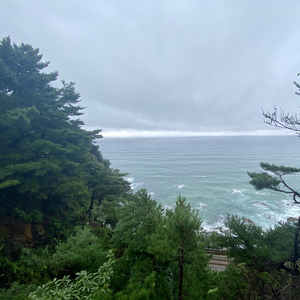 克莱门蒂小奏鸣曲 吉他音樂