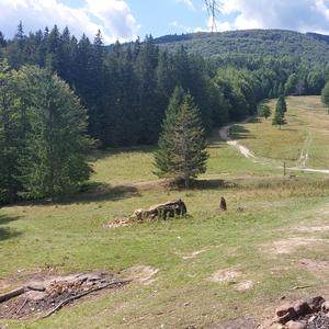 Relatări de pe Piatra-Olt