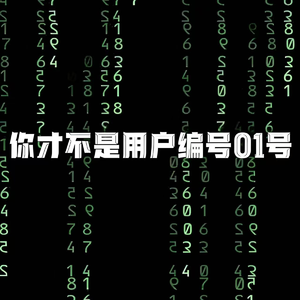 你才不是用户编号01号