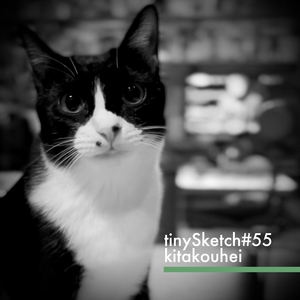 tinySketch #55