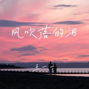 风吹落的泪