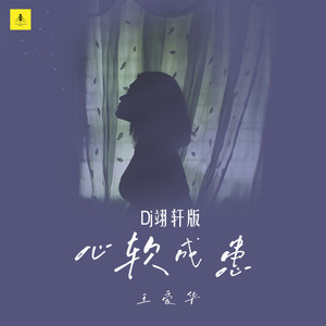 心软成患 (Dj翊轩广场舞版)