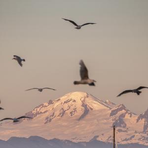连繁星都不是永恒