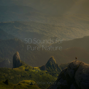 Echoes of the Ancient Trail