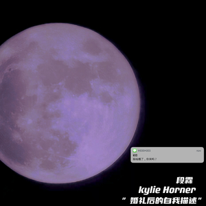 婚礼后的自我描述 伴奏