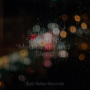 Moonlit Dreamer's Flight