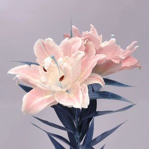 马步谣（cover 双笙）